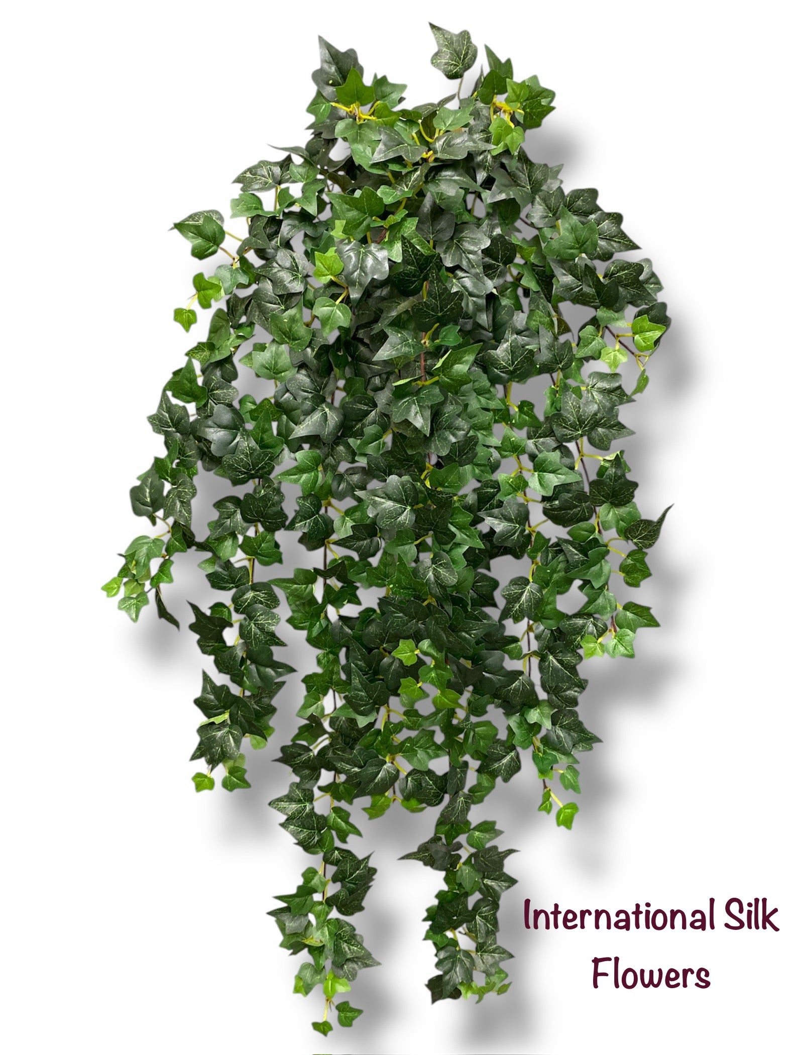 35'' Sage English Bush ( INT109 )