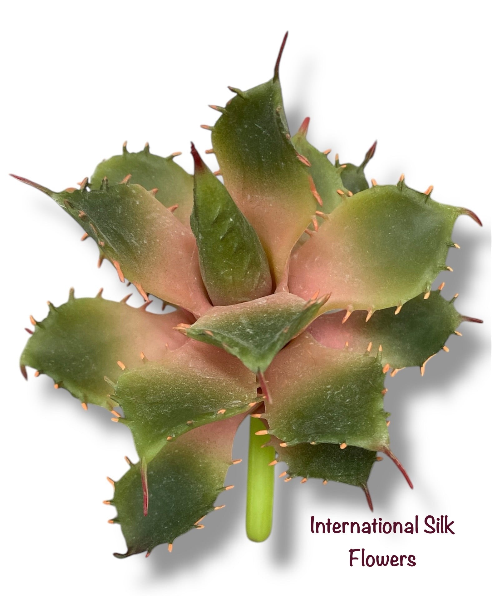 5.5" Aloe Pick ( CKA284-GR/MV )