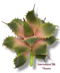 5.5" Aloe Pick ( CKA284-GR/MV )