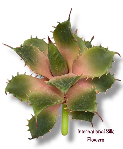 5.5" Aloe Pick ( CKA284-GR/MV )