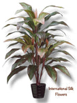 3.33' Cordyline Plant ( LPC840-RE/GR )