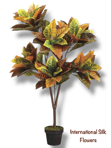 4' EVA Croton Plant ( LPF830-PR/PK )