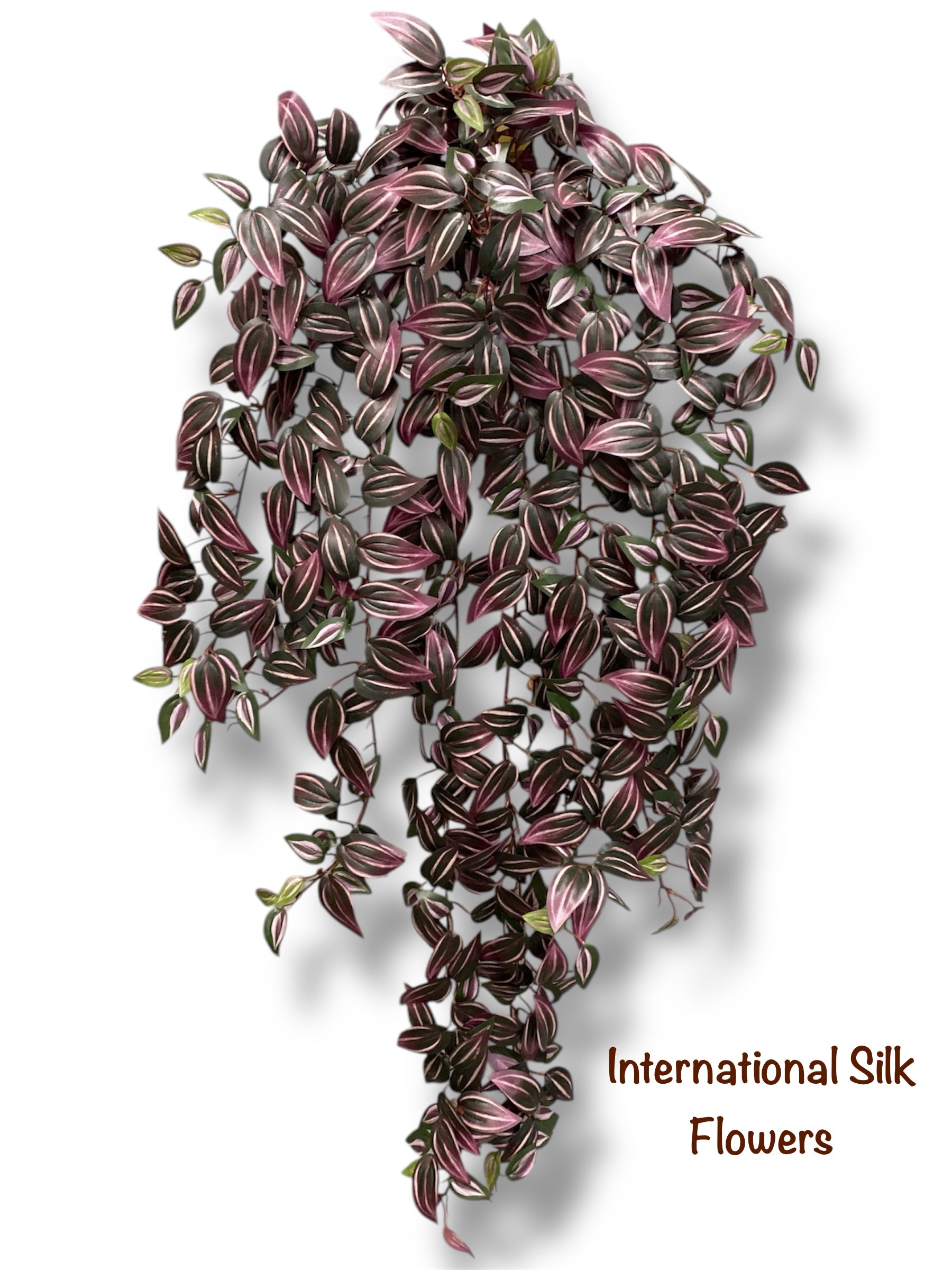 35'' Wandering Jew Bush ( INT116 )