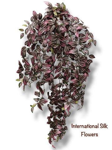 35'' Wandering Jew Bush ( INT116 )