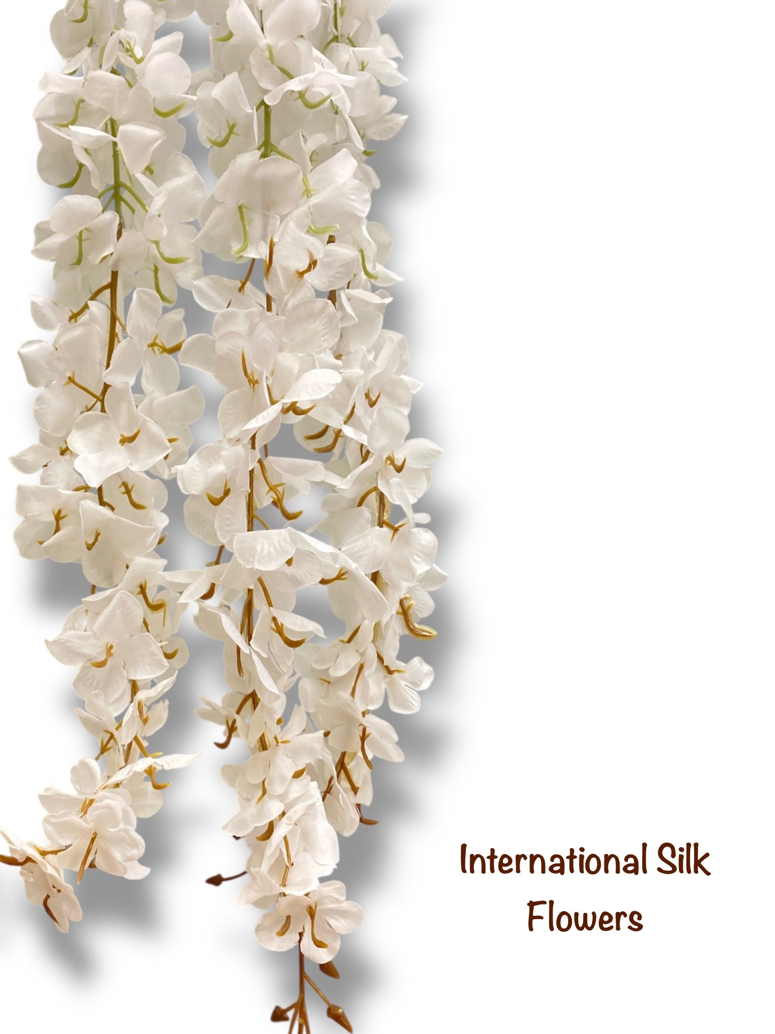 Hanging Wisteria ( INT036-White ) H3K6