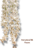 Hanging Wisteria ( INT036-White ) H3K6