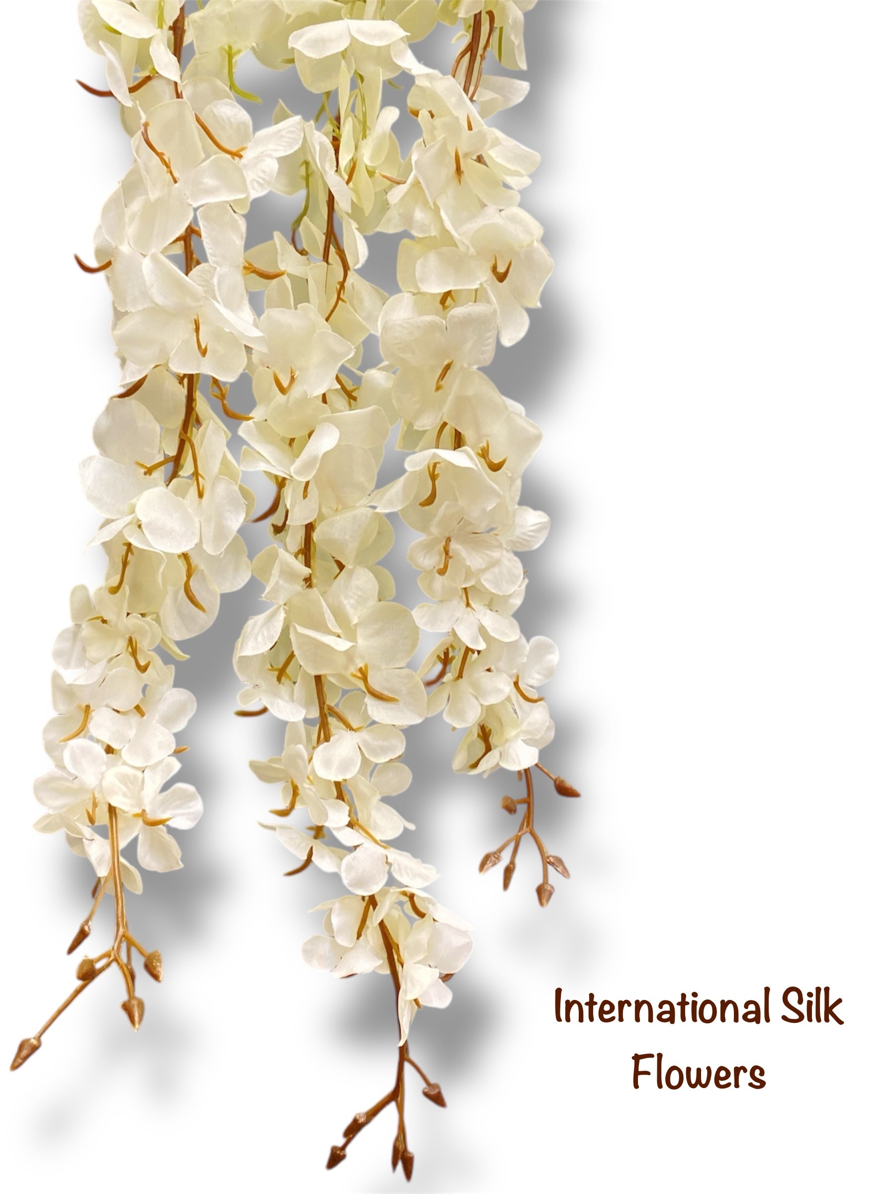 Hanging Wisteria ( INT036-Cream ) H3K6