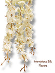 Hanging Wisteria ( INT036-Cream ) H3K6
