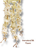 Hanging Wisteria ( INT036-Cream ) H3K6