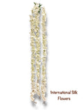 Hanging Wisteria ( INT036-Cream ) H3K6