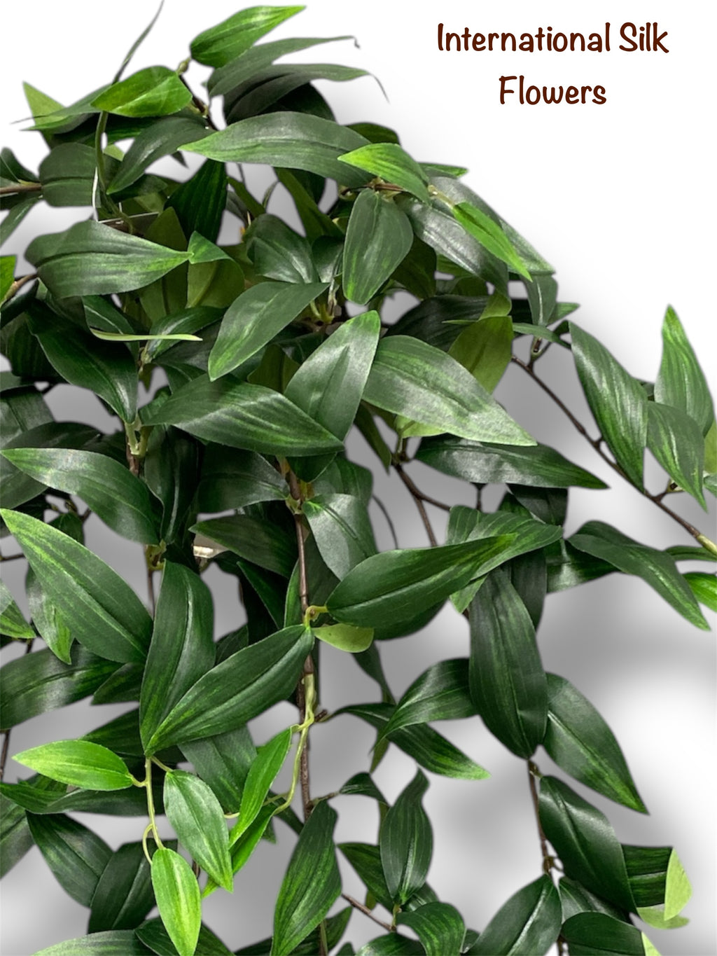 29'' Ruscus Hanging Bush ( ( INT8409 )
