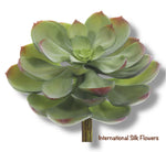 5'' ST. ECHEVERIA PICK ( CKE038-GR/GY )