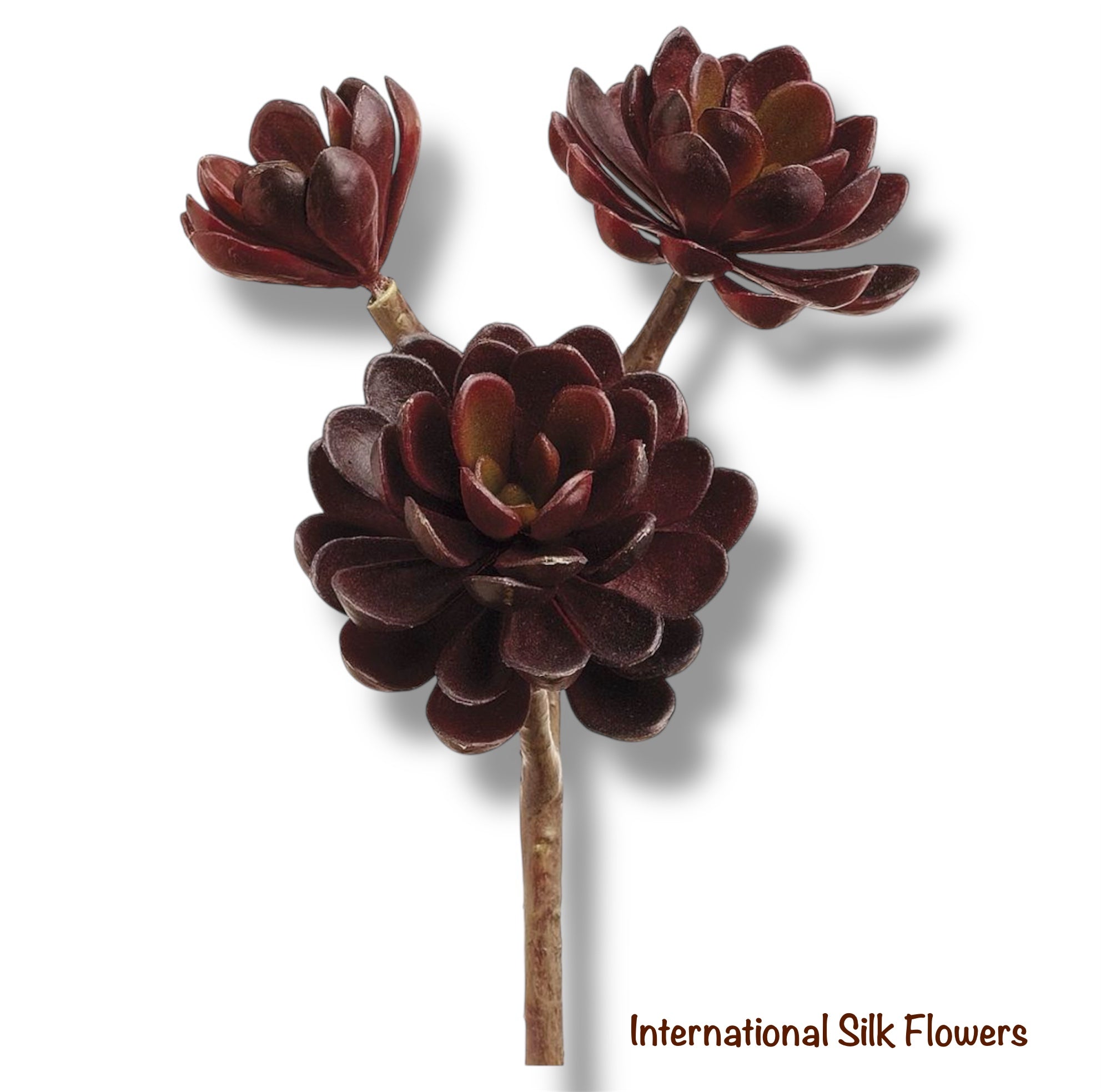 10" Hen and Chicks  ( CM4125-Burgundy )