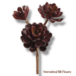 10" Hen and Chicks  ( CM4125-Burgundy )