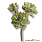 10" Hen and Chicks ( CM4125-Green )