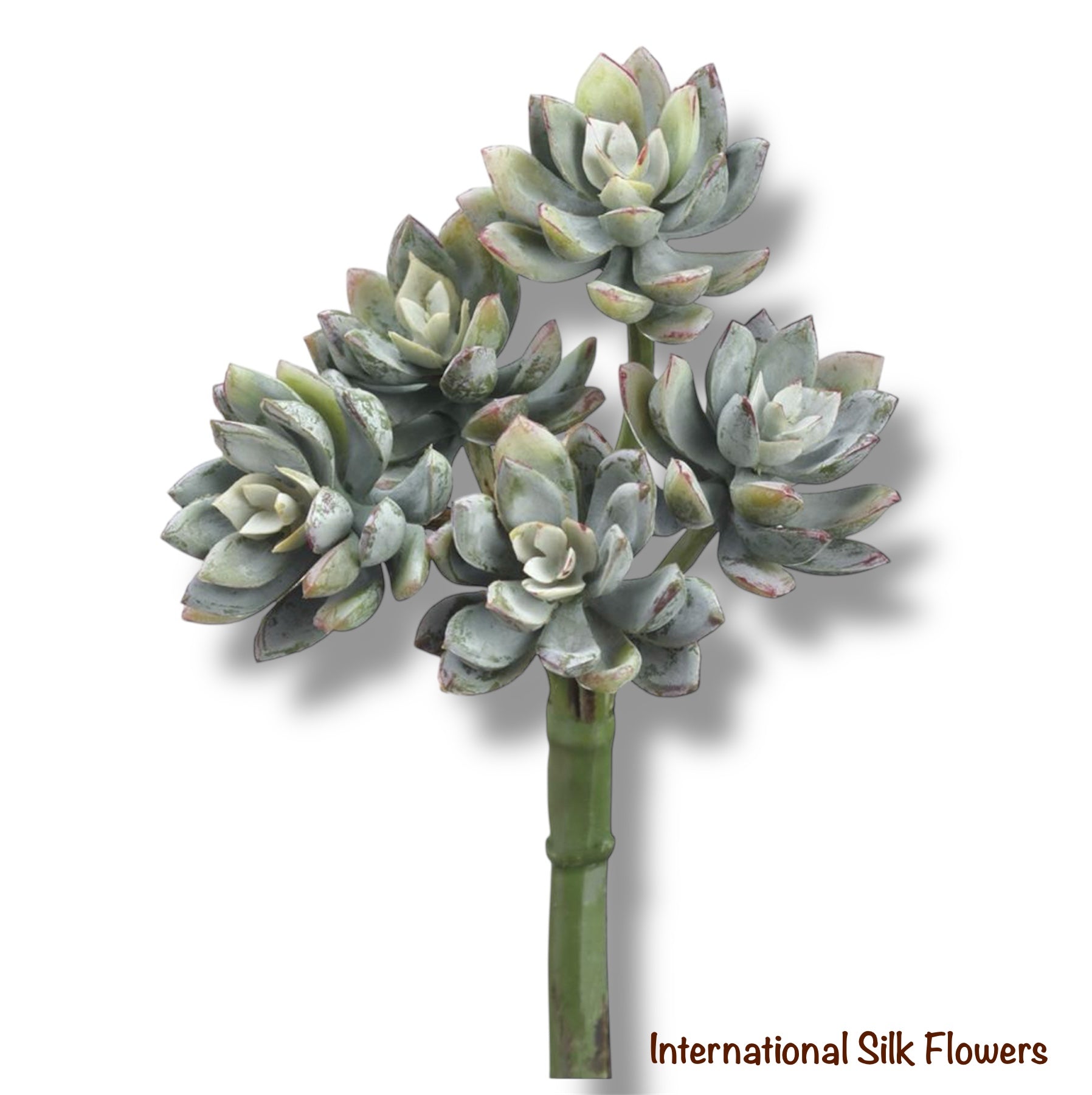 9" Real Touch Mini Echeveria ( CS8777-GR/FS )