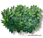 25" Real Touch Ficus Leaves Spray ( INT513 )