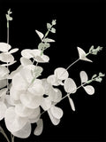 19'' EUCALYPTUS  BUSH ( B1601-White )