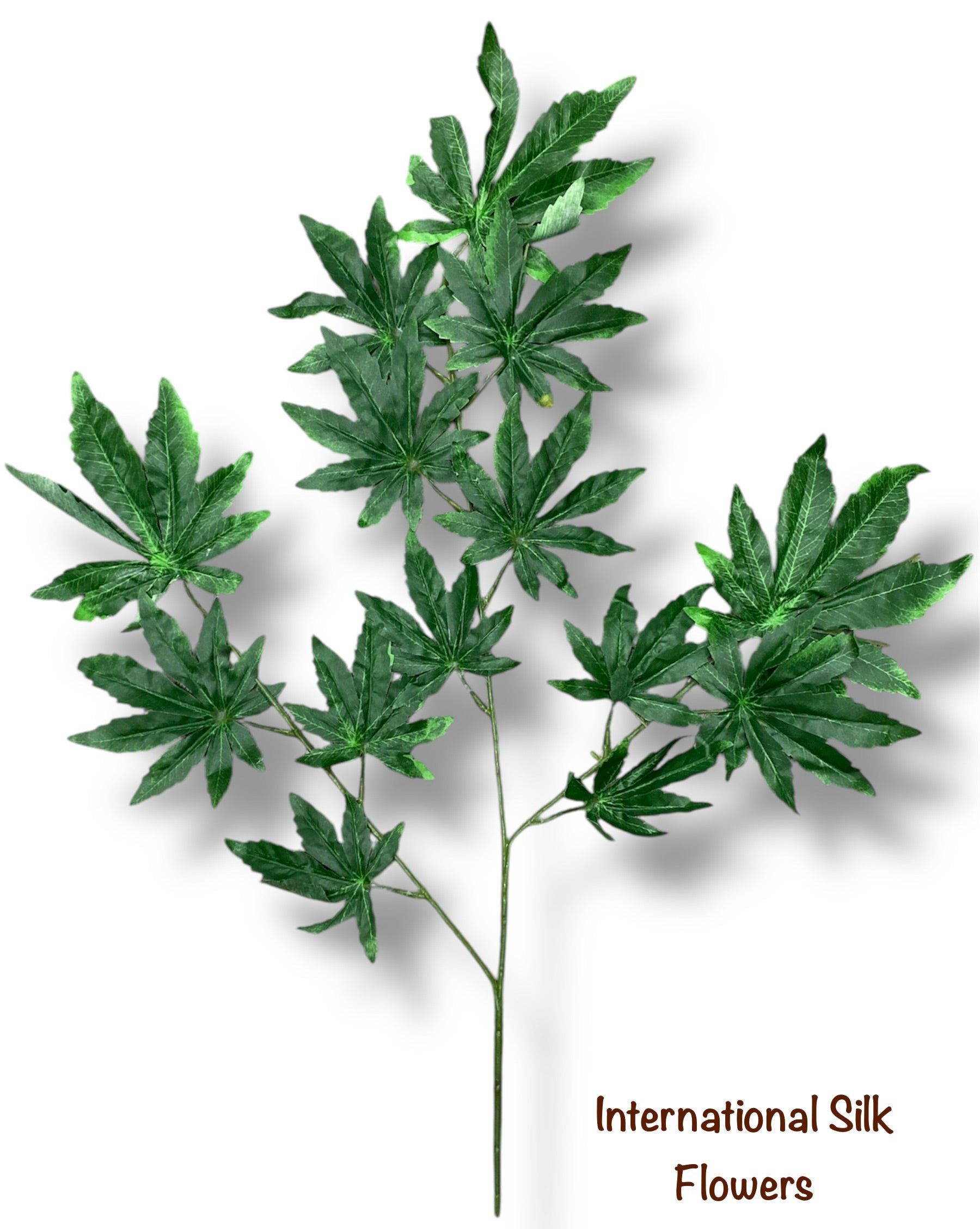 27'' Lucky Leaf Japanese Maple ( GLS67 )