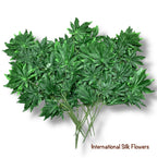 27'' Lucky Leaf Japanese Maple ( GLS67 )