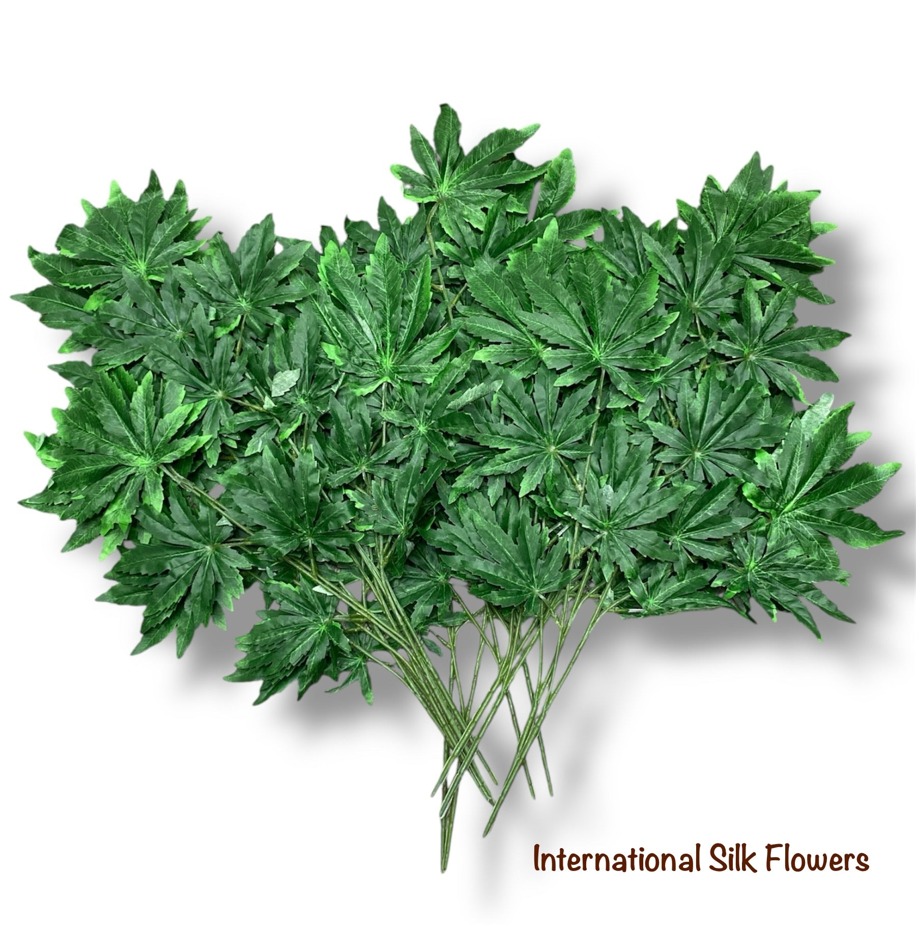 27'' Lucky Leaf Japanese Maple ( GLS67 )