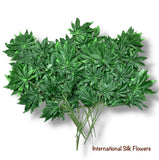 27'' Lucky Leaf Japanese Maple ( GLS67 )
