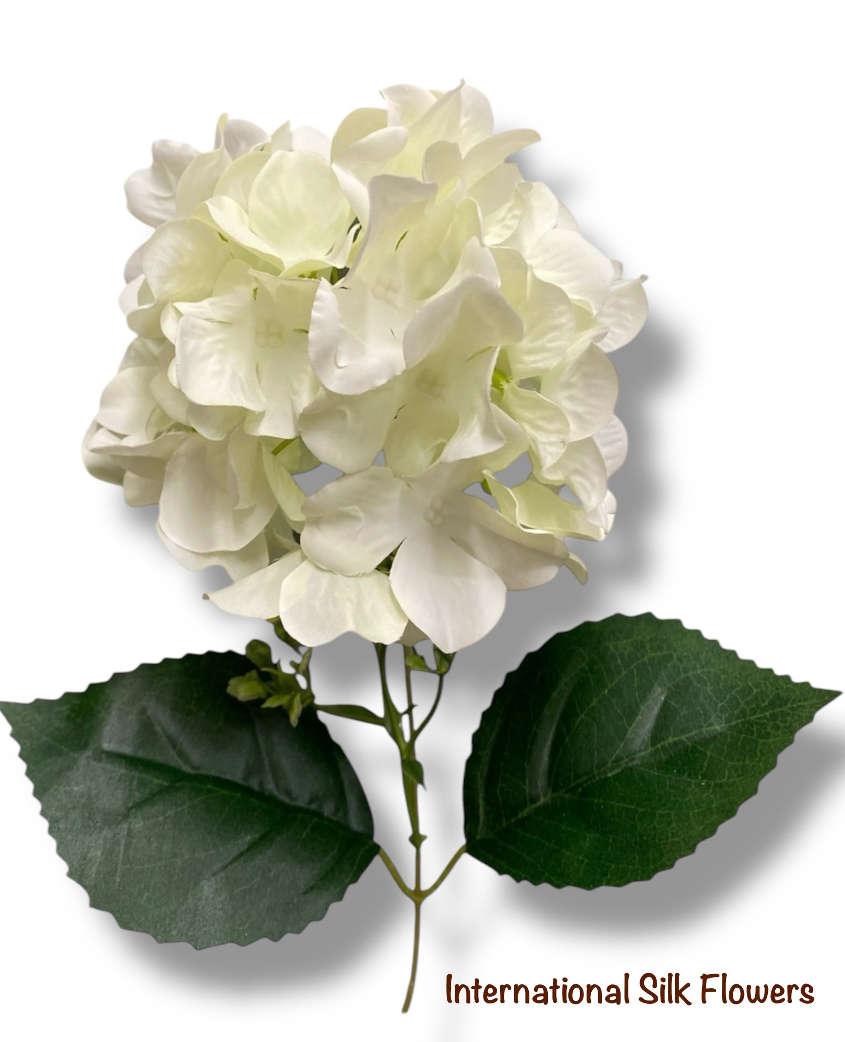 18'' Pongee Hydrangea Bush ( INT24007-#10 Cream )