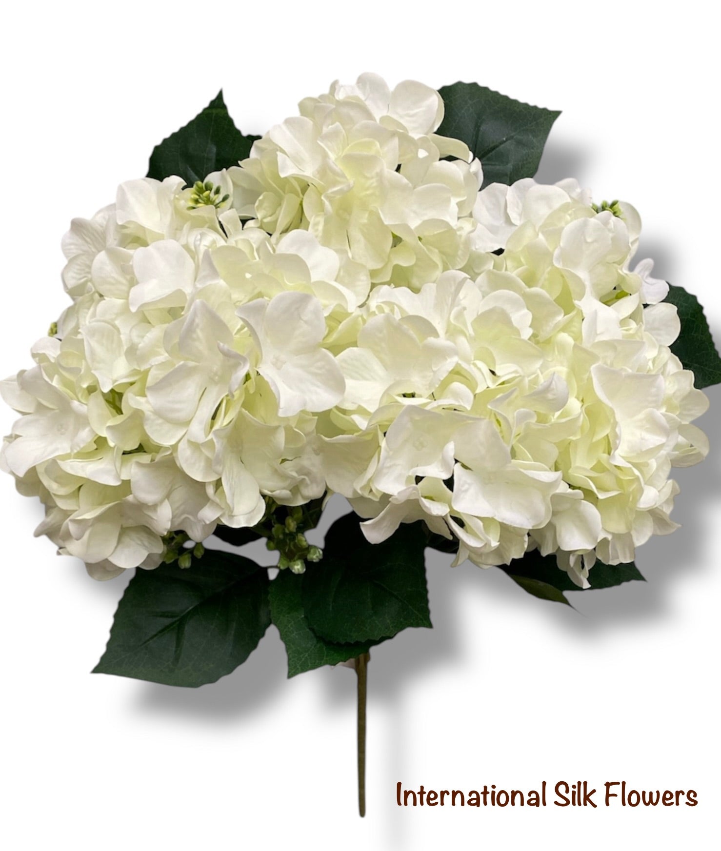 18'' Pongee Hydrangea Bush ( INT24007-#10 Cream )