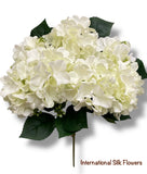 18'' Pongee Hydrangea Bush ( INT24007-#10 Cream )