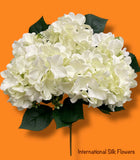 18'' Pongee Hydrangea Bush ( INT24007-#10 Cream )