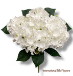 18'' Pongee Hydrangea Bush ( INT24007-#5 White )