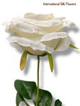 16.5'' Rose Bush ( B7E11-Cream )