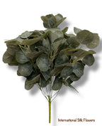 20'' EUCALYPTUS/DOLLAR  BUSH  ( INT1033 )
