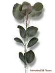 20'' DOLLAR EUCALYPTUS BUSH  ( INT1033 )