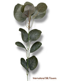 20'' DOLLAR EUCALYPTUS BUSH  ( INT1033 )