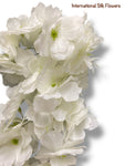 44'' Peach Blossom ( AV30001- Cream )