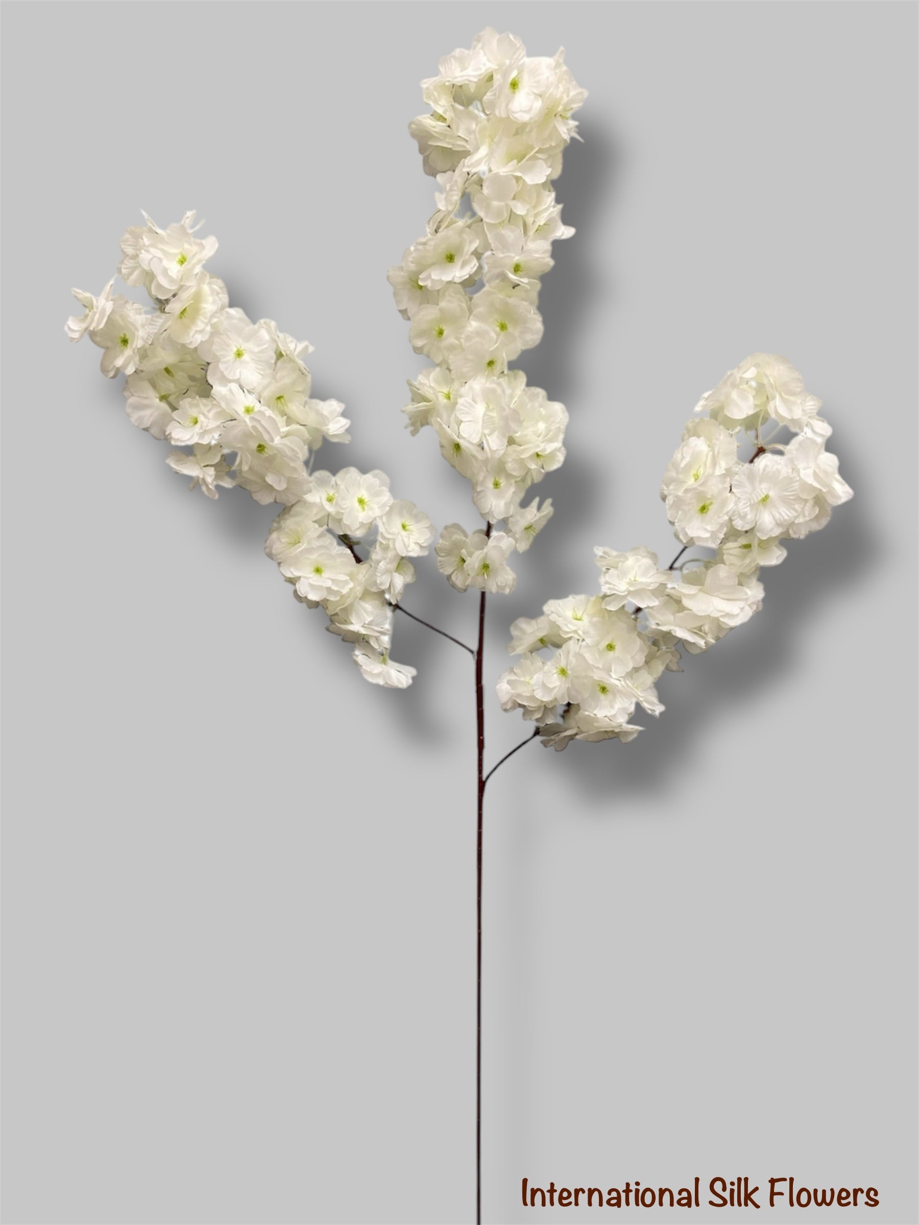 44'' Peach Blossom ( AV30001- Cream )