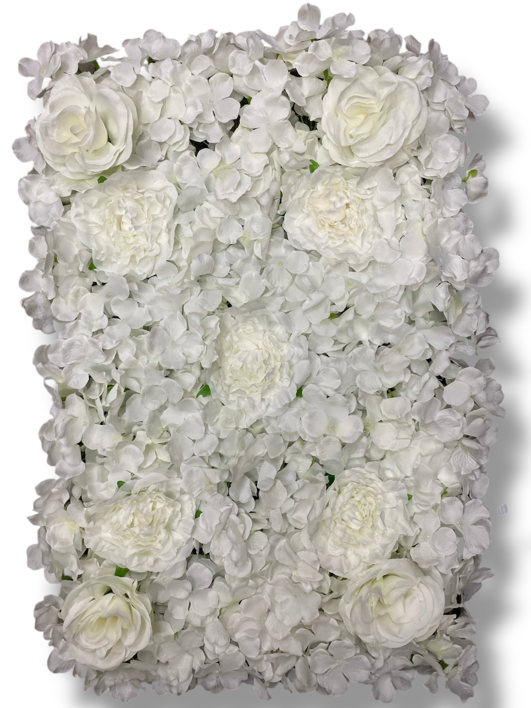 Hydrangea/Rose/Peony Wall Panel ( INT1012-Cream )