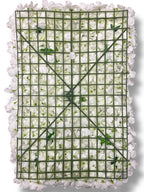 Hydrangea/Rose/Peony Wall Panel ( INT1012-Cream )