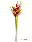 34" Hawaiian Heliconia Spray ( JYH754-Red )