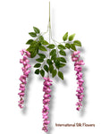 37'' Cassia Fistula ( H3001-Purple )