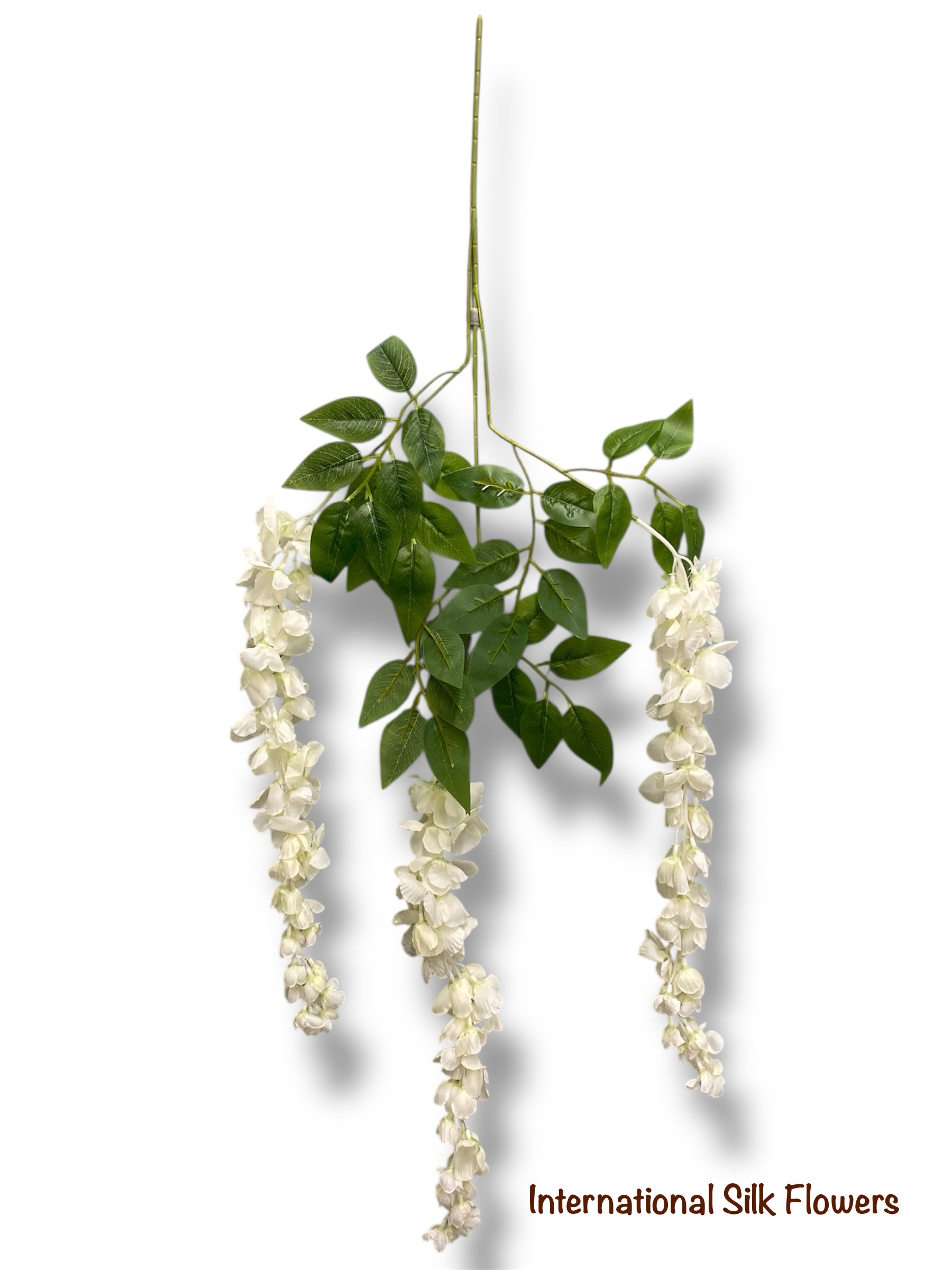 37'' Cassia Fistula ( H3001-CR )