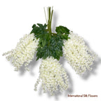 37'' Cassia Fistula ( H3001-CR )