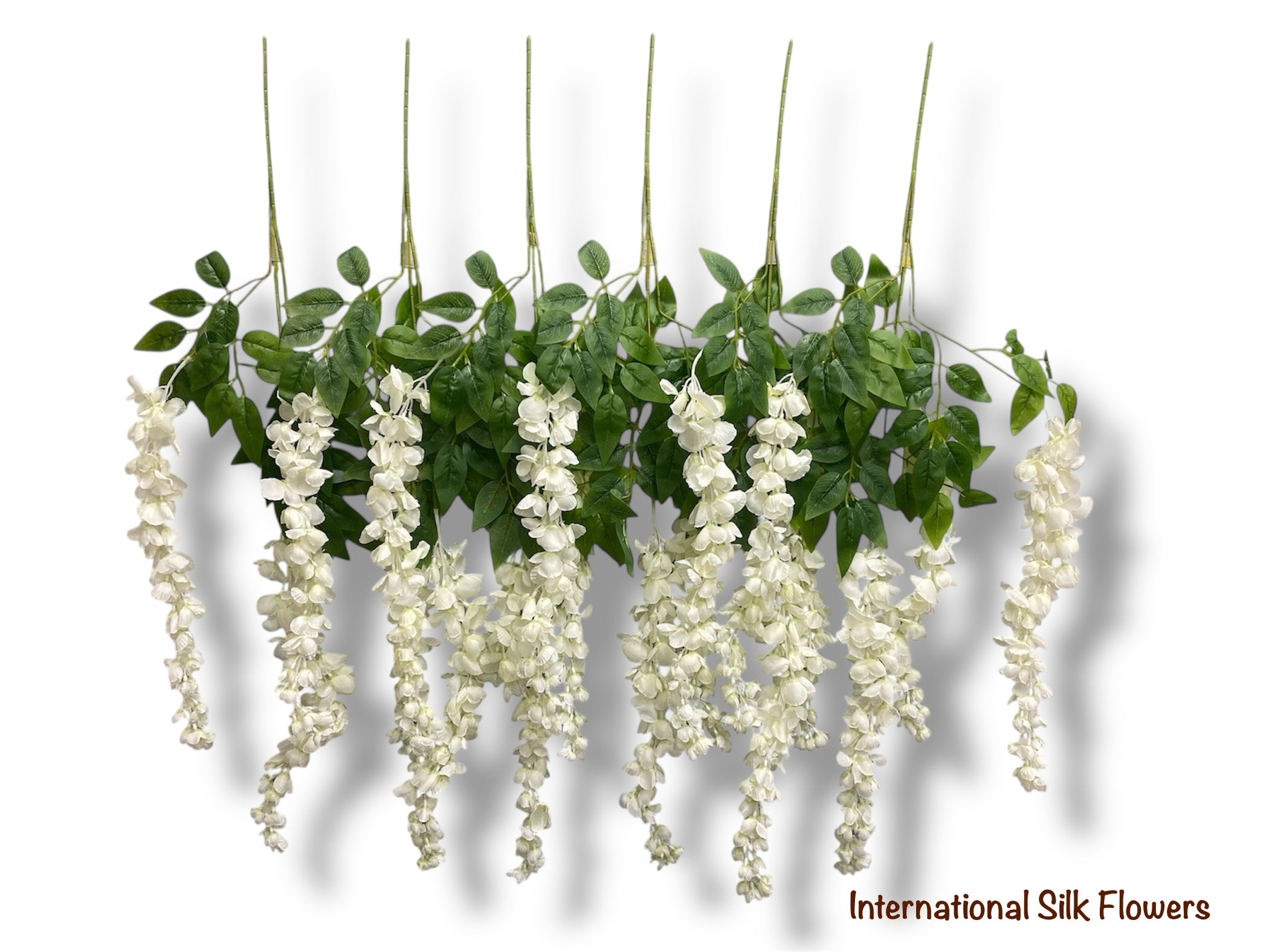 37'' Cassia Fistula ( H3001-CR )