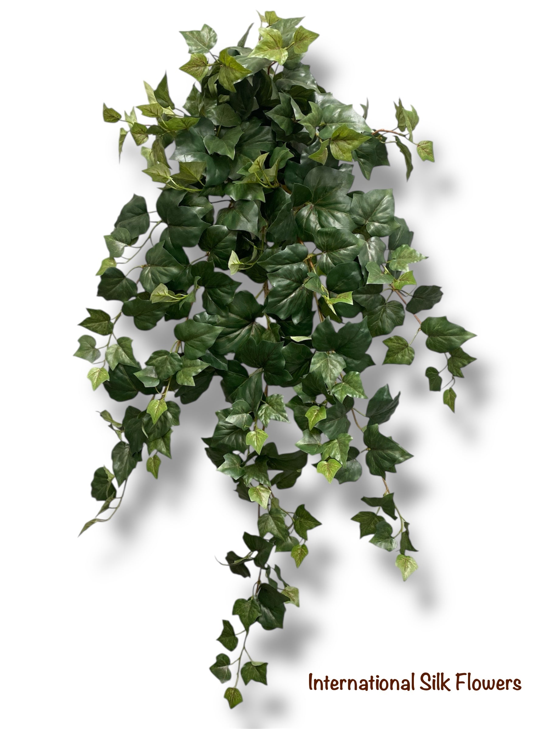 40'' Algerian IVY Hanging Bush ( BHF623 )