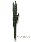 29'' Sansevieria Plant ( PS111-GR )