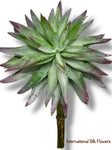 6.5'' SUCCULENT ( 199298-GN/PP )