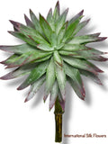 6.5'' SUCCULENT ( 199298-GN/PP )