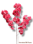 36'' Cherry Blossom ( SS120- Fuchsia ) (AV03001- Fuchsia )