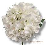 28'' Printed Hydrangea ( INT5720-Cream )